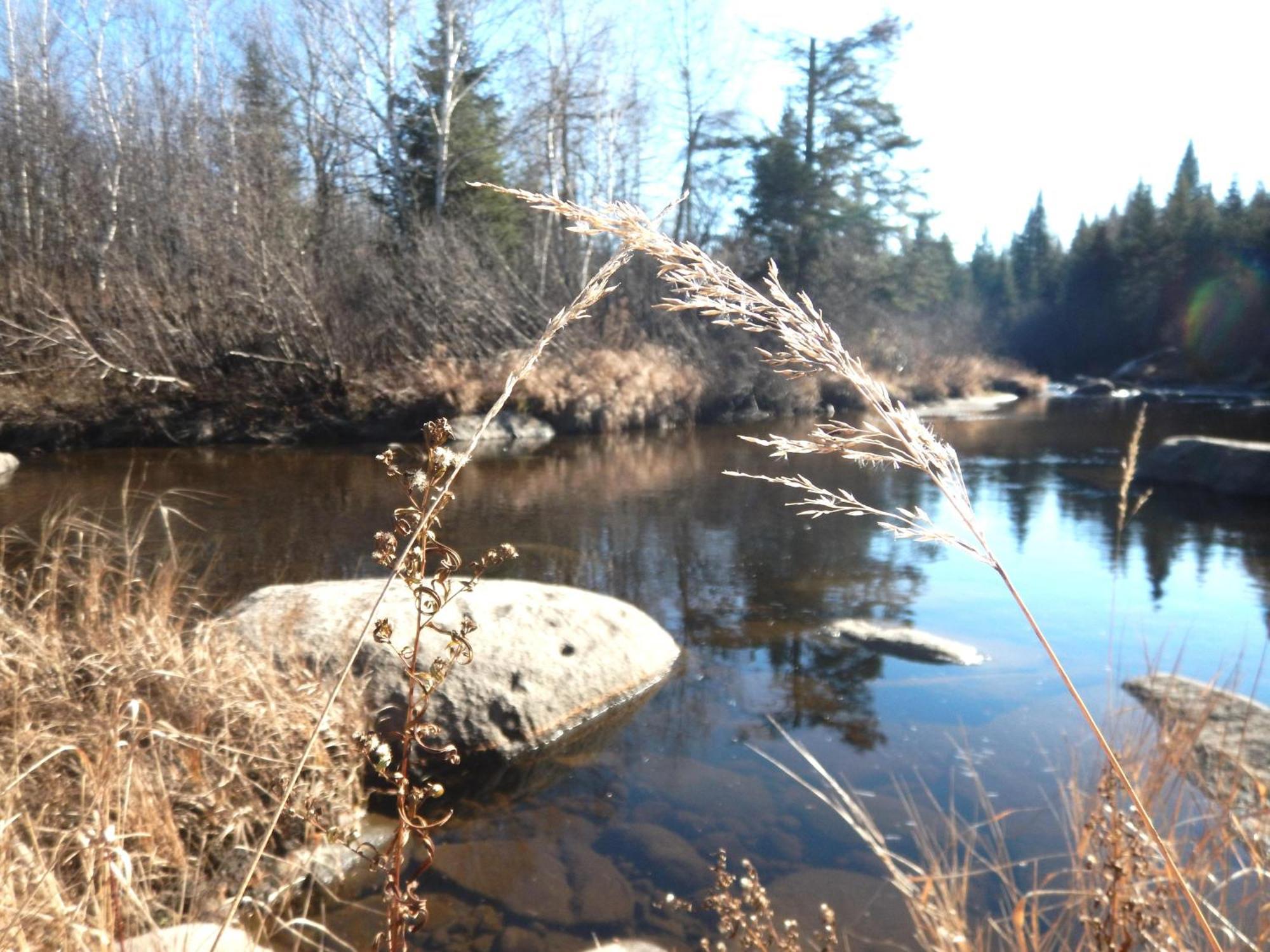 Aux Tipis De La Riviere Sauvage Villa Saint Romain Luaran gambar
