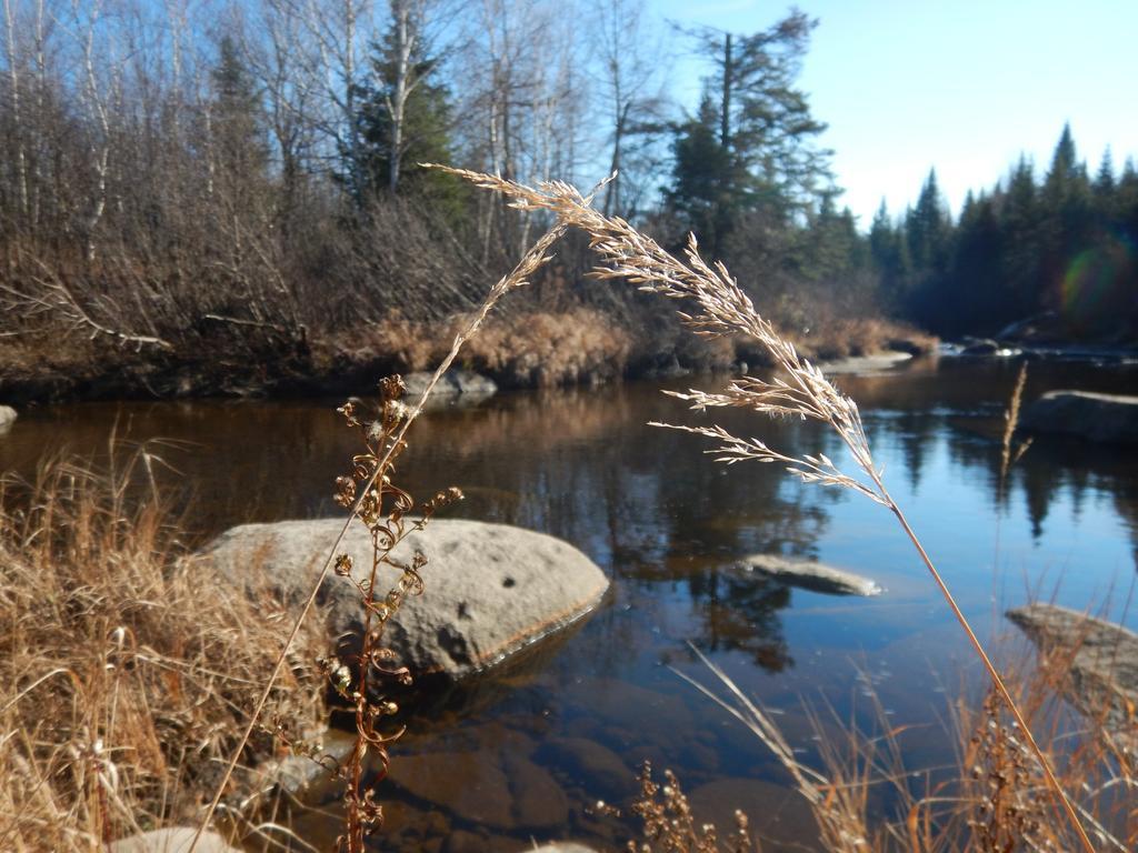 Aux Tipis De La Riviere Sauvage Villa Saint Romain Luaran gambar